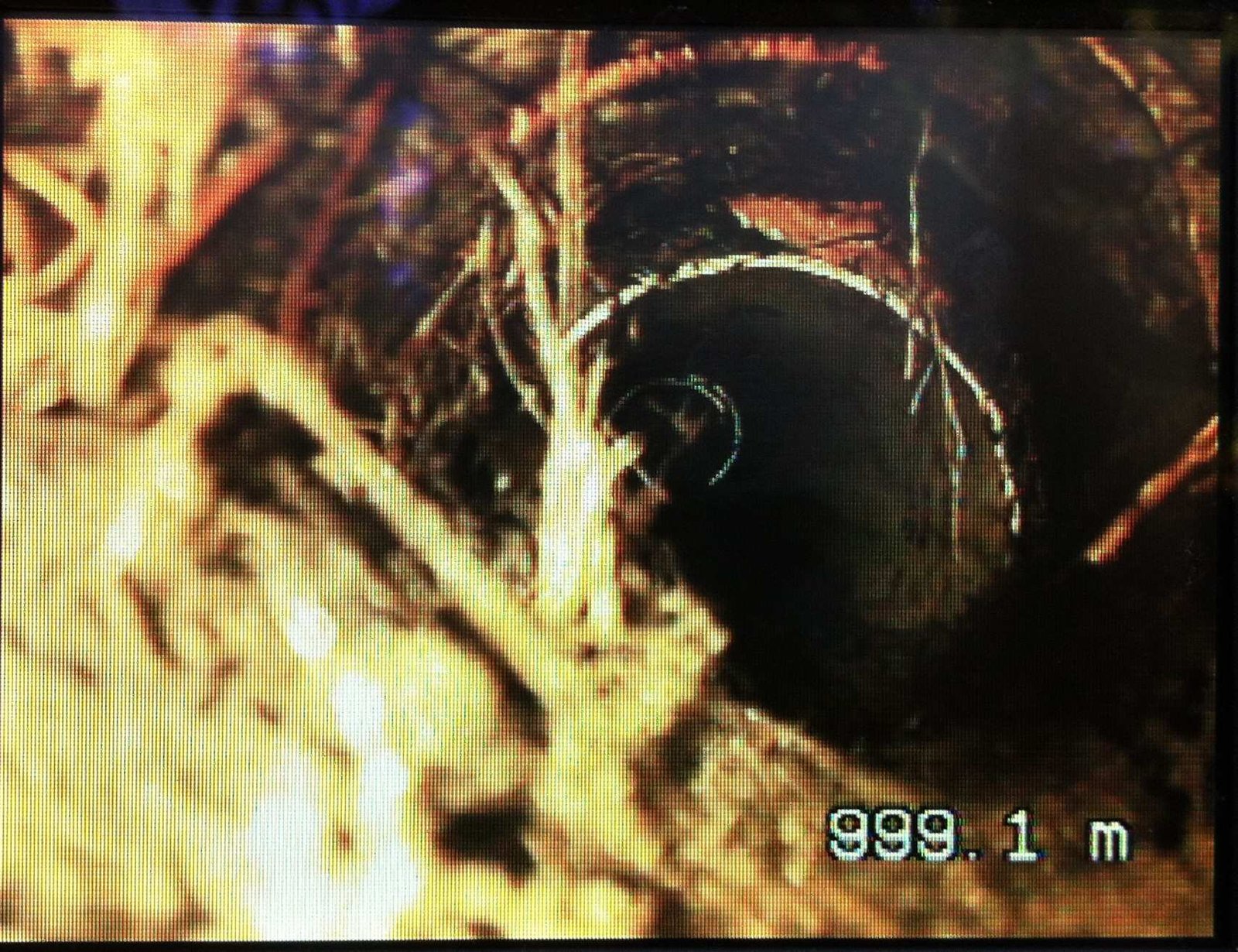 Drain Camera Inside Pipe Image Drain Camera Inside Pipe Image