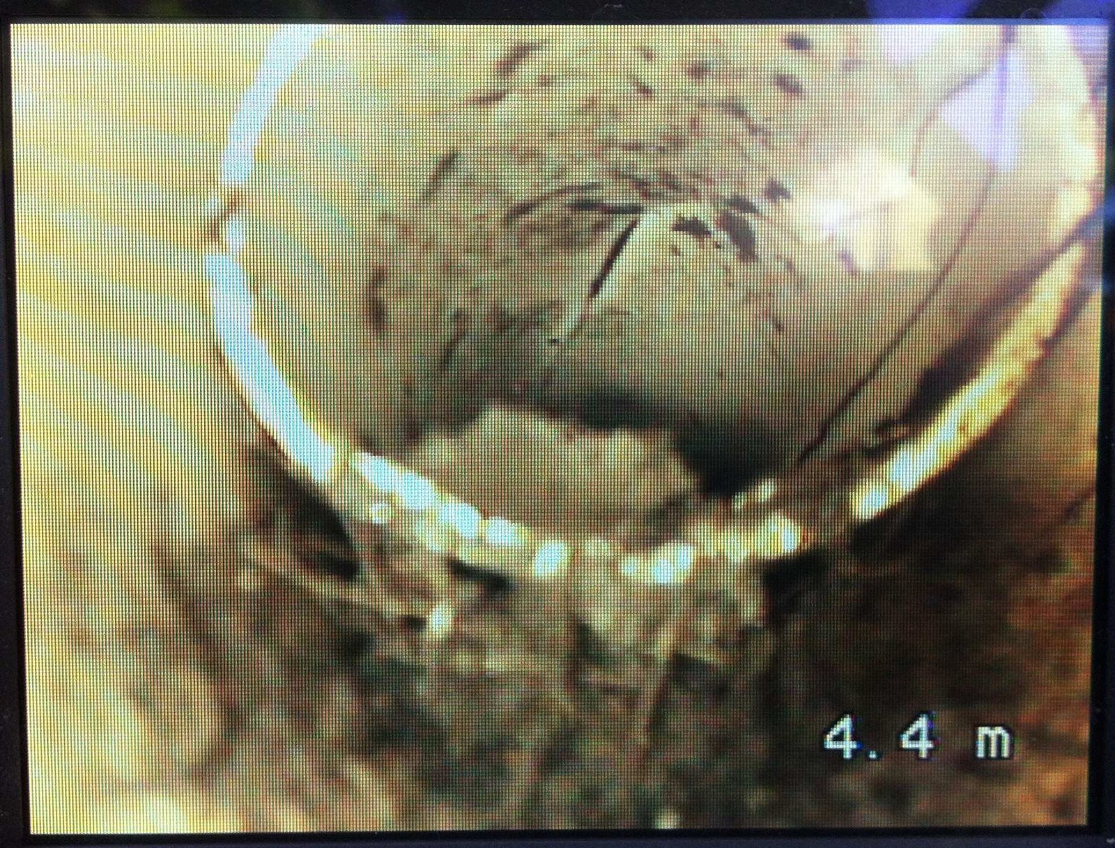 Tree Roots inside the PVC Drain Pipe